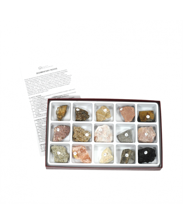 Sedimentary Rock Collection - 15 Specimen