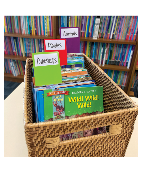Library Book Dividers pack of 30